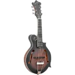 Gold Tone F-6 F-style Acoustic-Electric Mando-Guitar Vintage Sunburst with Case