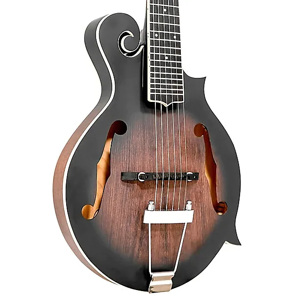 Gold Tone F-6 F-style Acoustic-Electric Mando-Guitar Vintage Sunburst with Case - Image 3