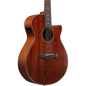 Ibanez AEG220 Solid Top Grand Concert Acoustic-Electric Guitar - Dark Brown Open Pore