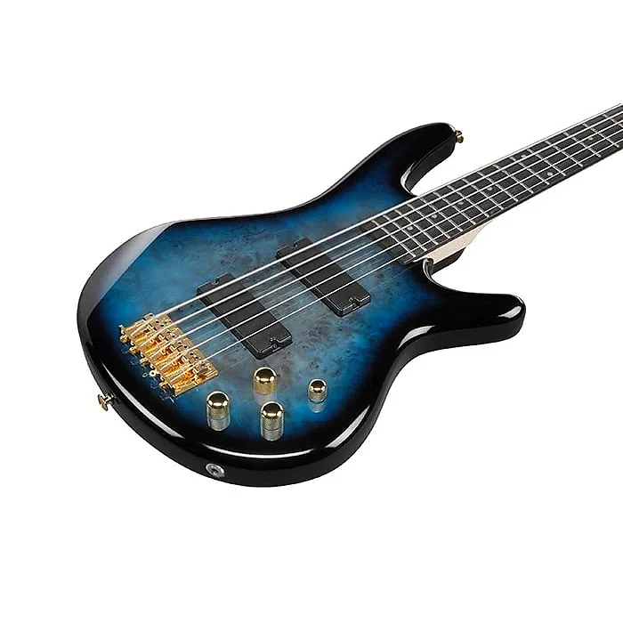 Ibanez 5-String Bass