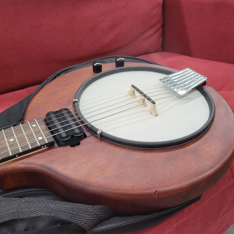 Gold Tone EB-6 Banjitar with Gigbag - Mahogany 6 string electric banjo - Image 8