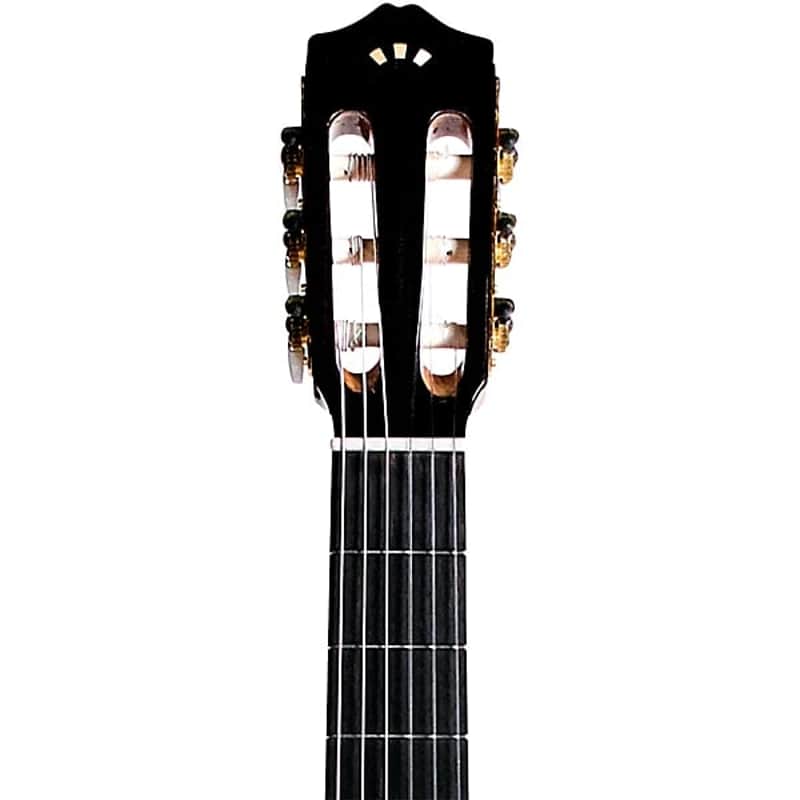 Cordoba C5-CET Thinbody Spalted Maple Nylon-String Acoustic-Electric Guitar - Gloss Spalted Maple - Image 5
