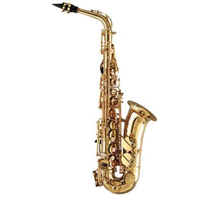Zonda Alto Saxophone Outfit with Case ZAS201RA