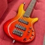 Ibanez SR305E 5-String Electric Bass Guitar – Autumn Fade Metallic