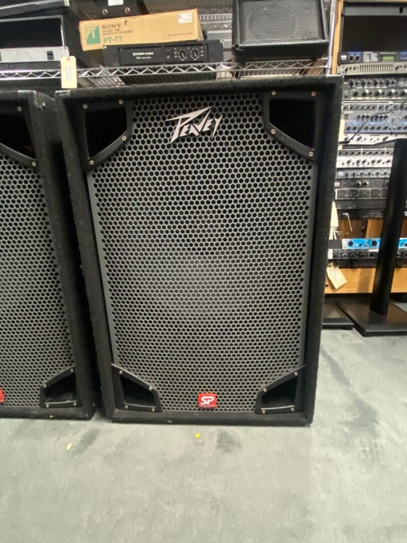 Peavey SP118 18-inch Passive Subwoofer Pair w/ Black Widow Speaker - Made in USA Used – Good Price$400 Local Pickup Only - Image 11