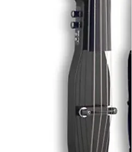 Stagg EDB3/4BK Electric Double Bass w/Bag Black
